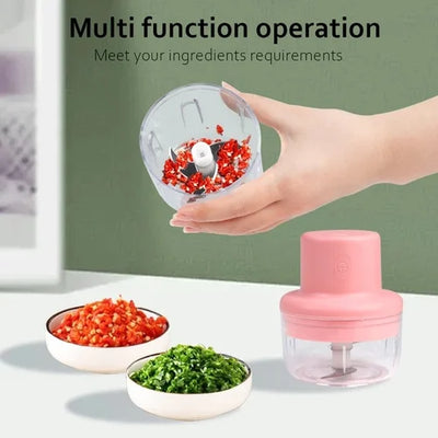 KolorFish Electric Mini Garlic & Vegetable Chopper 250ml | One Touch Operation | Stainless Steel Blade | Rechargeable